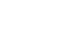PINKLUST logo