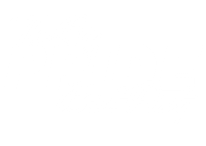 Big Pride Boat Party logo