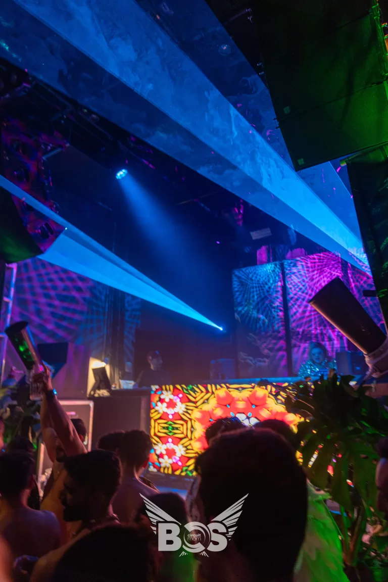 Welcome to the Jungle photo