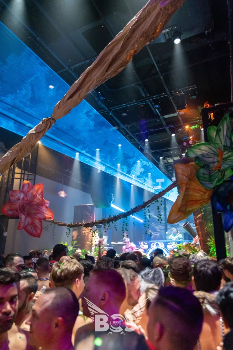 Welcome to the Jungle photo