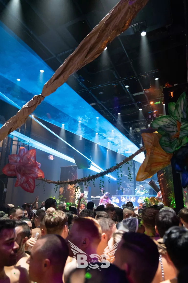 Welcome to the Jungle photo