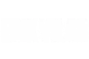 Erik Vilar logo